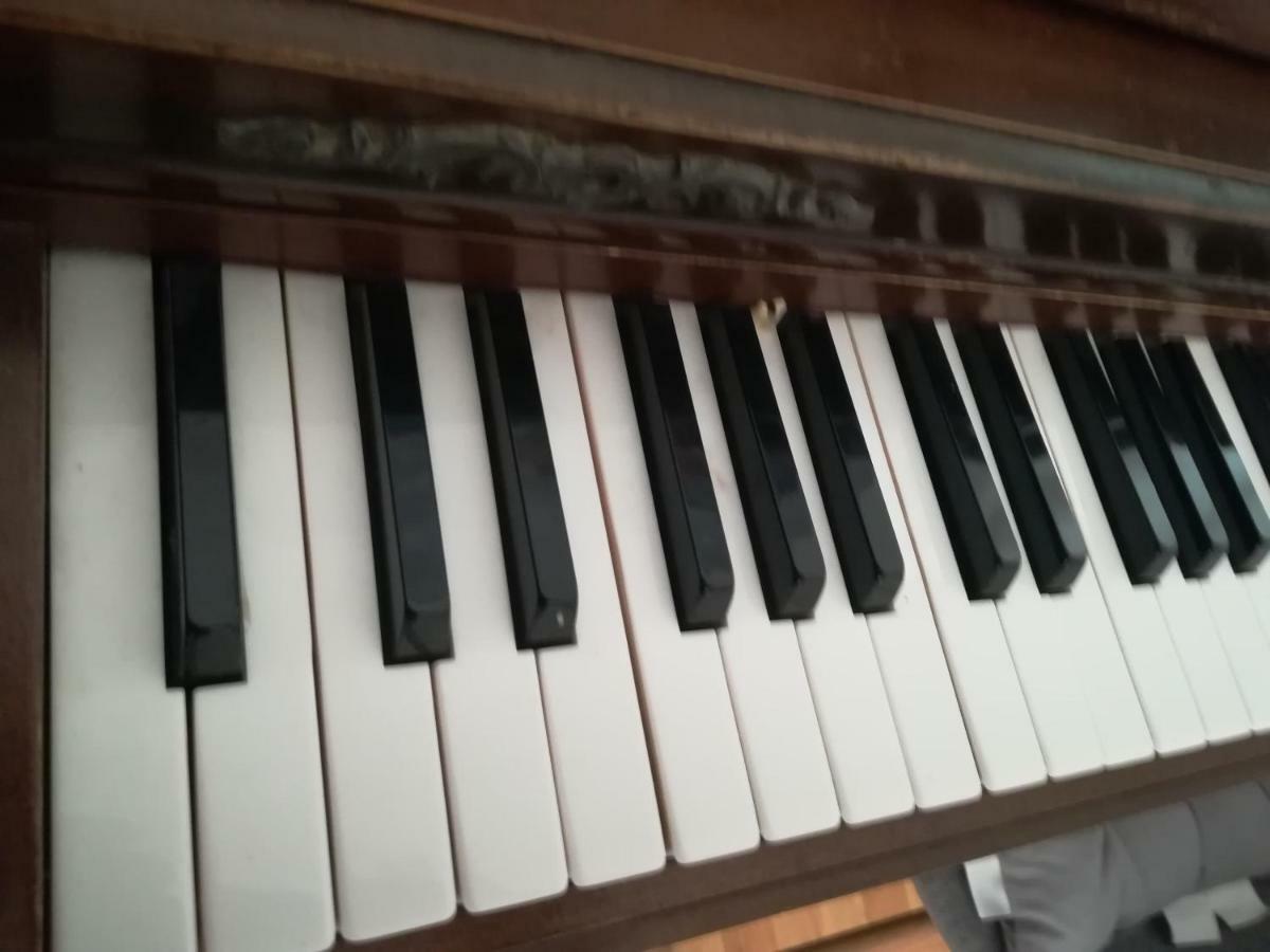 The Piano Apartment Завалатица Экстерьер фото